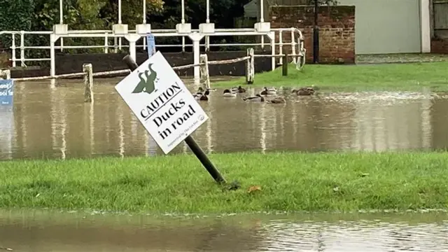 The pond at Finchingfield, Essex