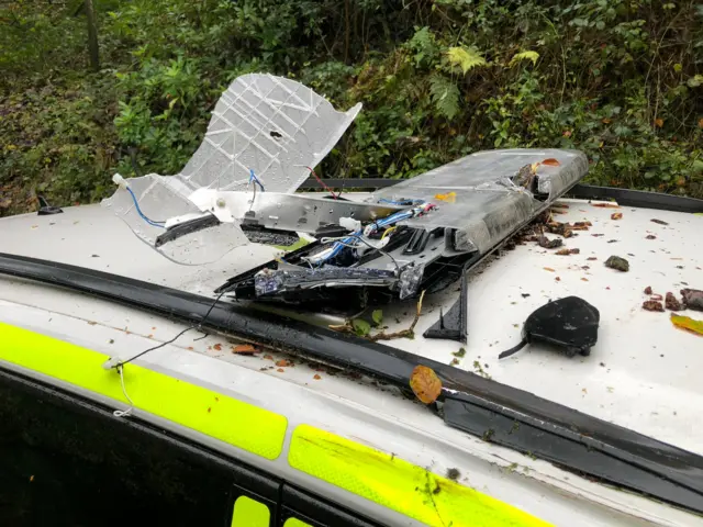 The tree fell on the car as it was being driven at Gara Bridge