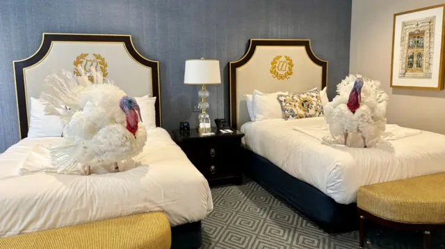 Turkeys on hotel beds