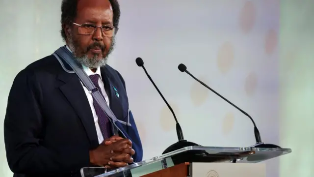 Somali President Hassan Sheikh Mohamud speaks during the opening session of the Global Food Security Summit at Lancaster House in London, Britian November 20, 2023