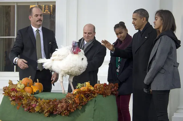 Obama pardons a turkey