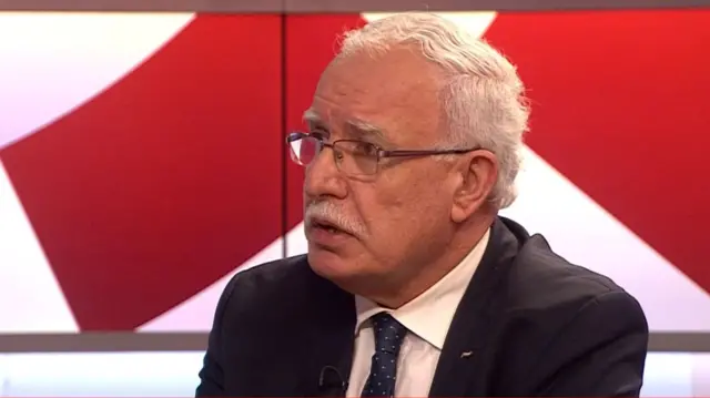 Riyad al-Maliki is interviewed on a BBC News programme