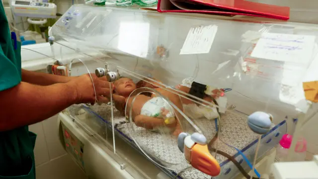 Doctor puts hands through incubator with two babies laying inside