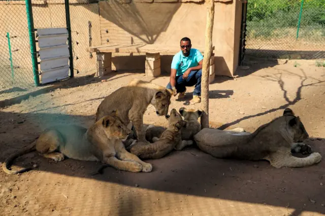 Osman Salih, founder of the Sudan Animal Rescue centre, sits close to lionesses and cubs at the facility in Al-Bageir reserve, south of the capital Khartoum on February 28, 2022.