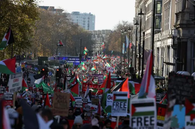 A large crowd carrying fags and posters makes its way through central London