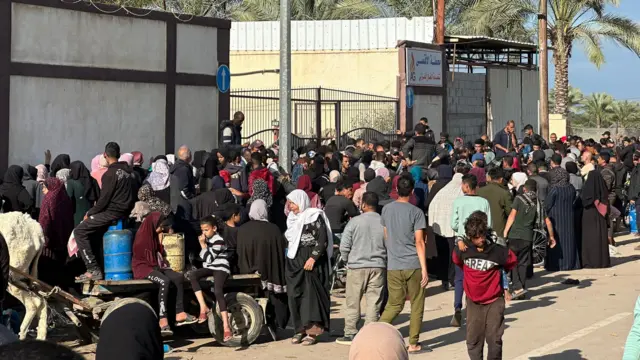 A wide shot of the queue for cooking gas in Deir al-Balah