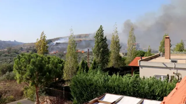 Smoke rises from the forest of Alma al-Shaab