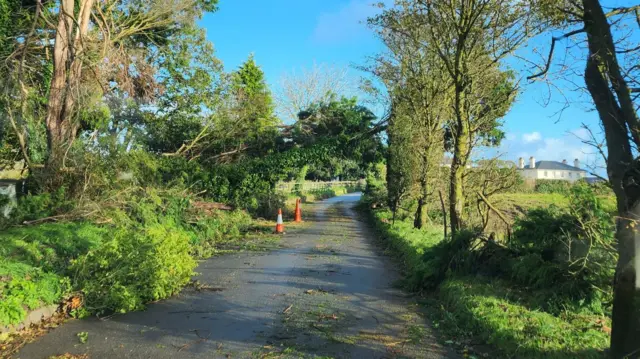 Blocked road in Jersey