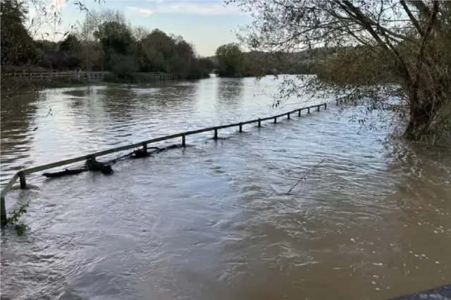 Trees and a fence submerged underwater in a flooded field