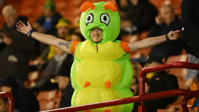 Horsham fan in fancy dress