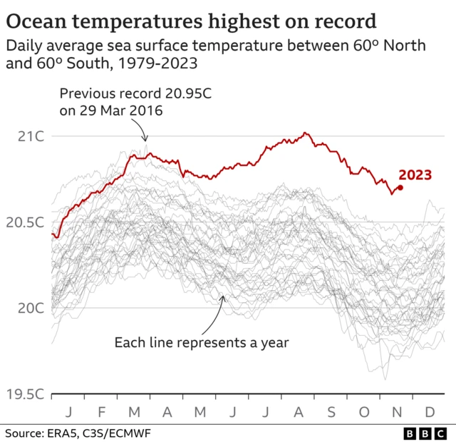 Multiple line chart showing daily global sea surface temperatures for every year since 1979. The 2023 line has been significantly higher than any other year since spring