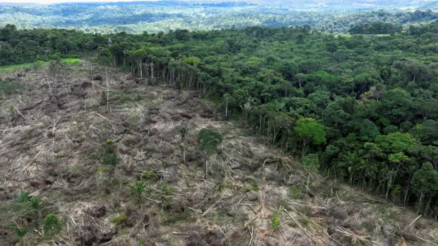 An aerial view shows a deforested area during an operation to combat deforestation near Uruara, Para State, Brazil January 21, 2023.