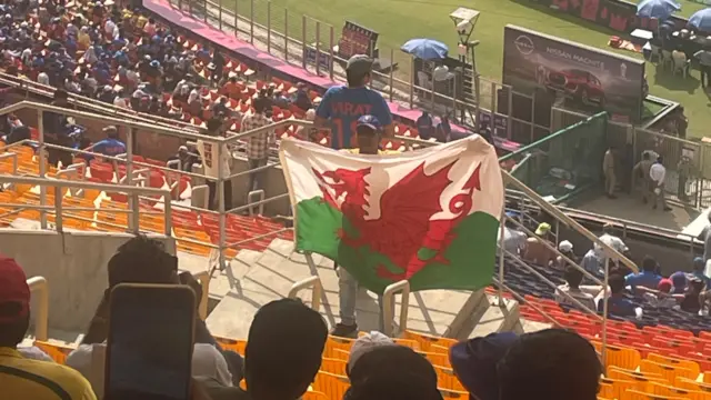 Fan with Wales flag