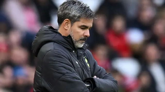 Norwich City boss David Wagner