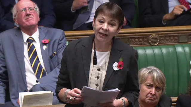 Caroline Lucas speaks in Commons