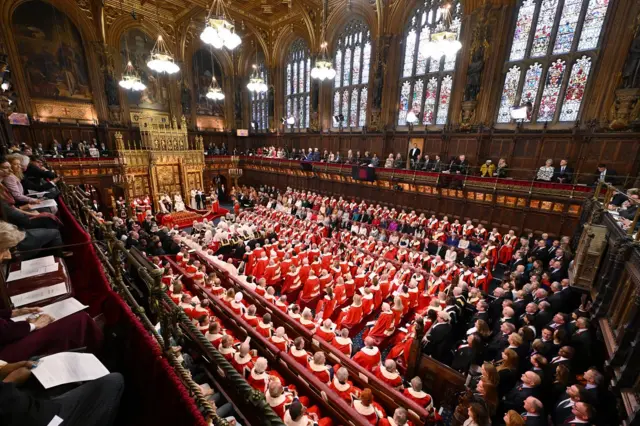 The Lords watch the King's speech