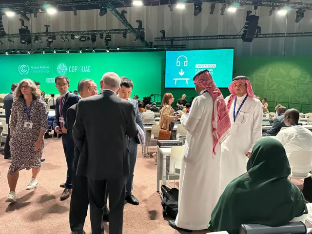 Huddles on the plenary floor