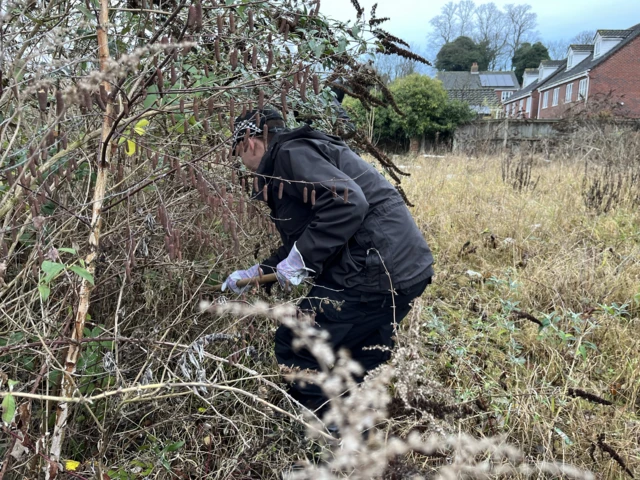 Police searching a wooded area