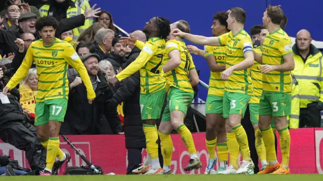 Norwich celebrate scoring second goal