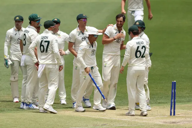 Australia celebrate a Mitchell Starc wicket