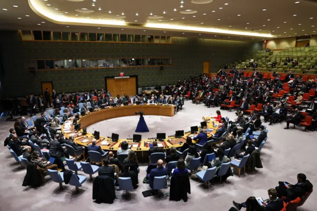 UN Security Council - 29 November 2023