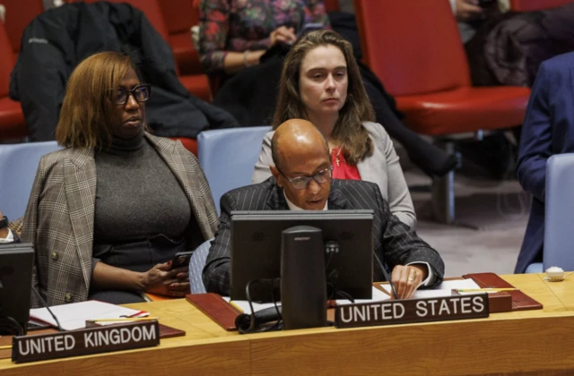 Robert Wood addressing the security council meeting ahead of a vote on ceasefire