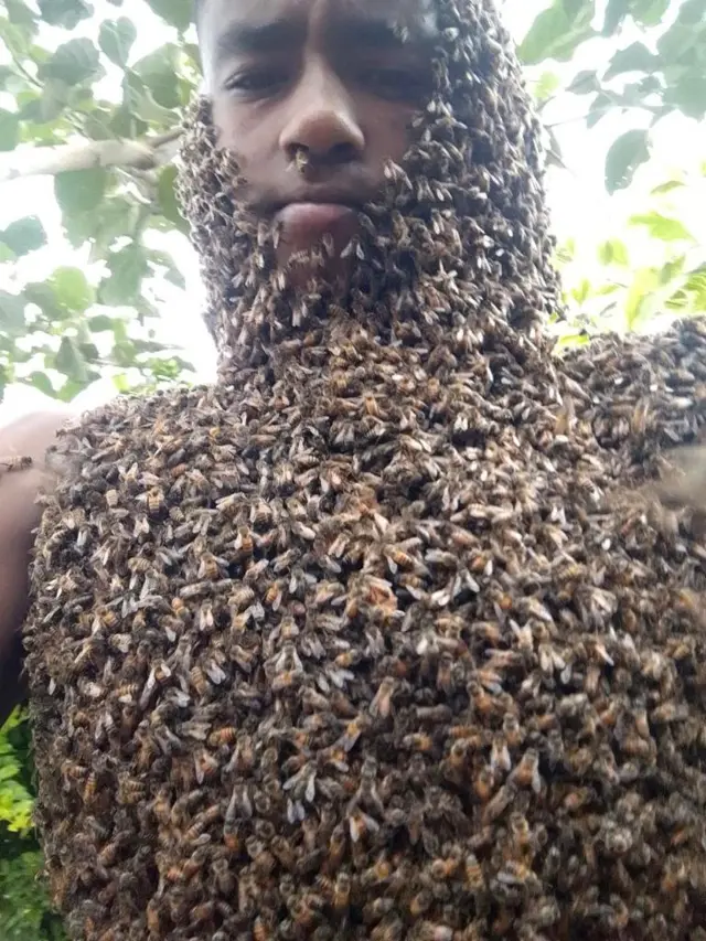 Honey bees swarming Tamirat Getachew's head and torso.