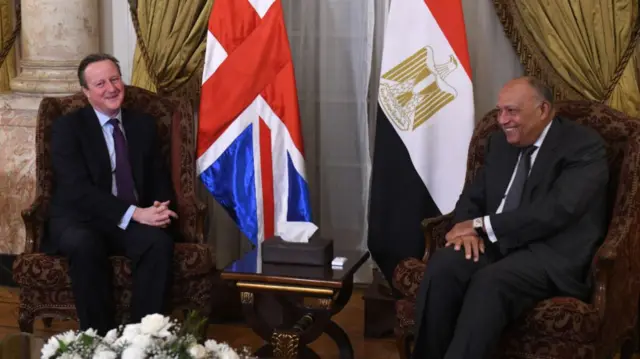 Lord Cameron and Egyptian Foreign Minister Sameh Shoukry