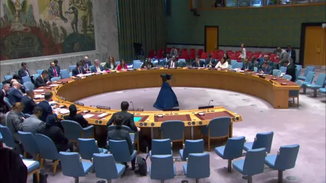 United Nations Security Council