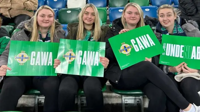 Northern Ireland fans