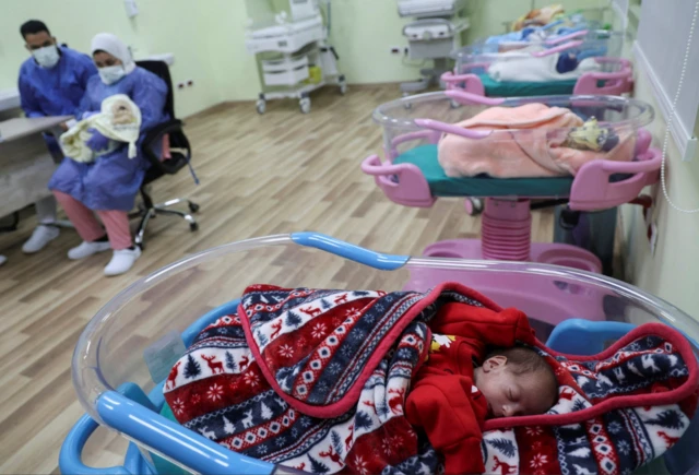 Premature babies from Palestine in their cots in a nursery at a Cairo hospital