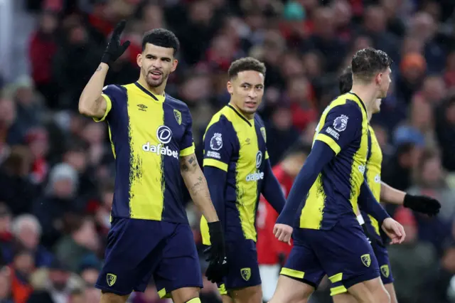 Dominic Solanke celebrates