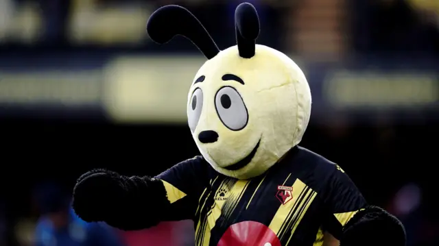 Harry the Hornet