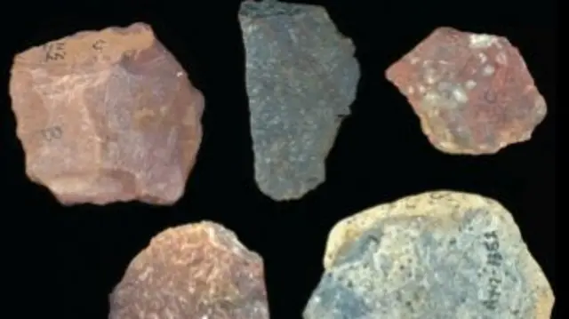 Examples of an Oldowan percussive tool, core and flakes dating from roughly 2.9 million years ago and found at the Nyayanga site in Kenya