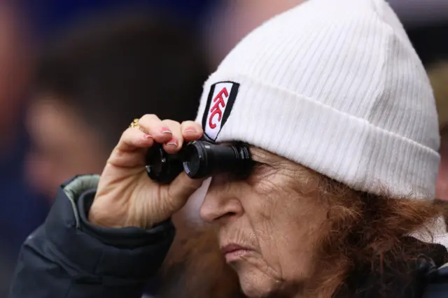 A Fulham fan looks on during the Premier League match between Brighton & Hove Albion and Fulham FC