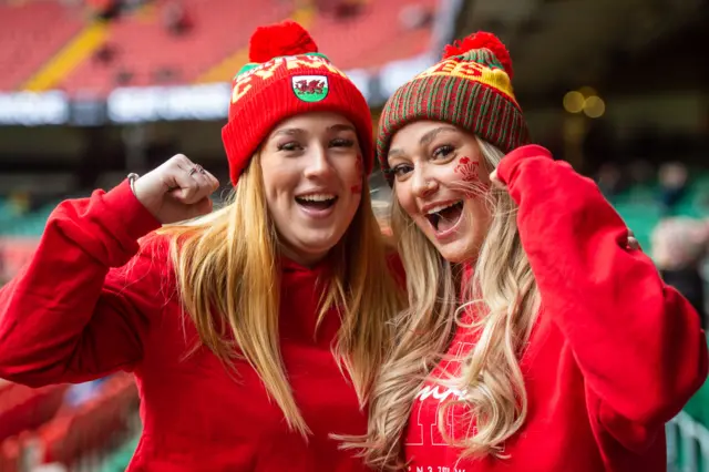 Wales fans in the stadium