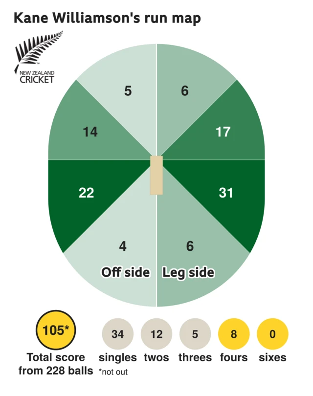 The run map shows Kane Williamson scored 105 with 8 fours, 5 threes, 12 twos, and 34 singles for New Zealand