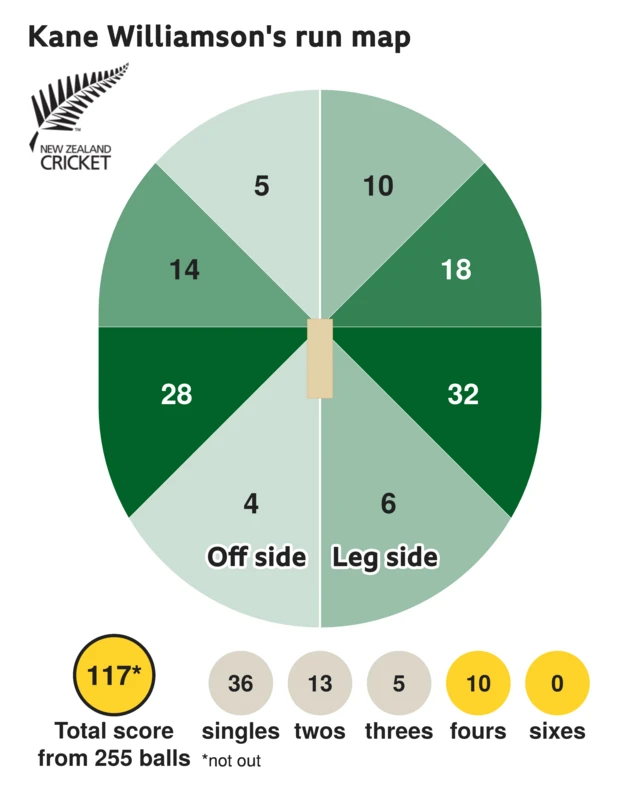 The run map shows Kane Williamson scored 117 with 10 fours, 5 threes, 13 twos, and 36 singles for New Zealand