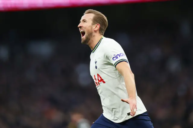 Harry Kane celebrates scoring