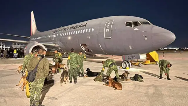 Members of Mexico's search and rescue teams and their dogs before take-off