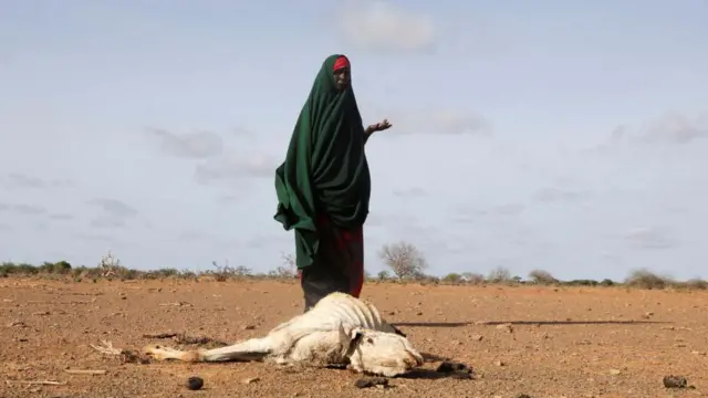 An internally displaced Somali woman stands near the carcass of an animal near Dollow in Gedo region, Somalia, May 2022