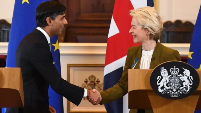 Rishi Sunak shakes hands with Ursula von der Leyen