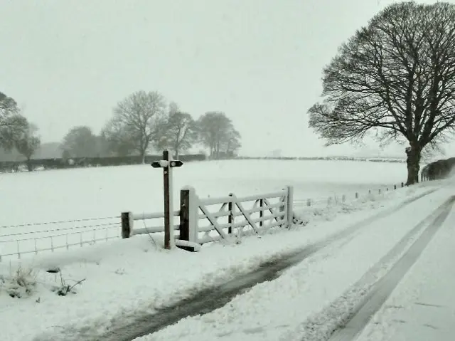 Snow in Leek