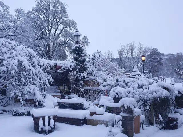 Snow-topped trees and outdoor furniture