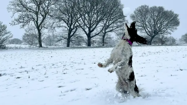 Snow in Ryhill, Wakefield