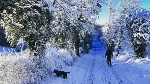 Snow in Saintfield - in Newry, Mourne and Down