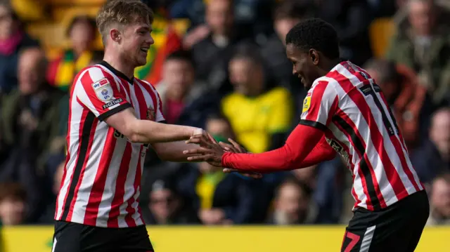 Sunderland celebrate goal