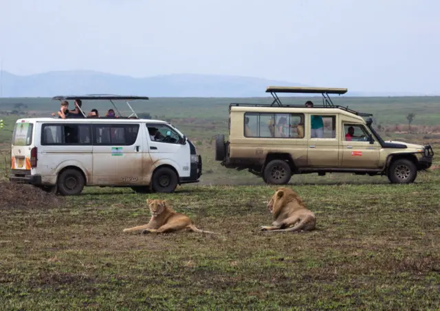 Tourists visit Maasai Mara in August 2021