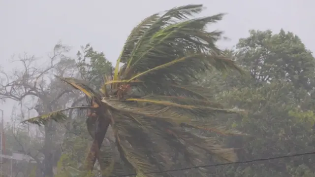 Branches of trees sway as cyclone Freddy hits, in Quelimane, Zambezia, Mozambique