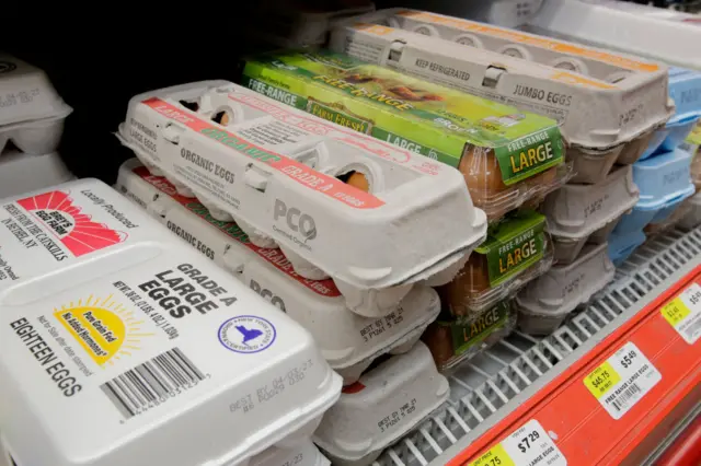 Eggs are displayed in a grocery store on 16 February 2023 in North Bergen, New Jersey (VIEWpress via Getty Images)